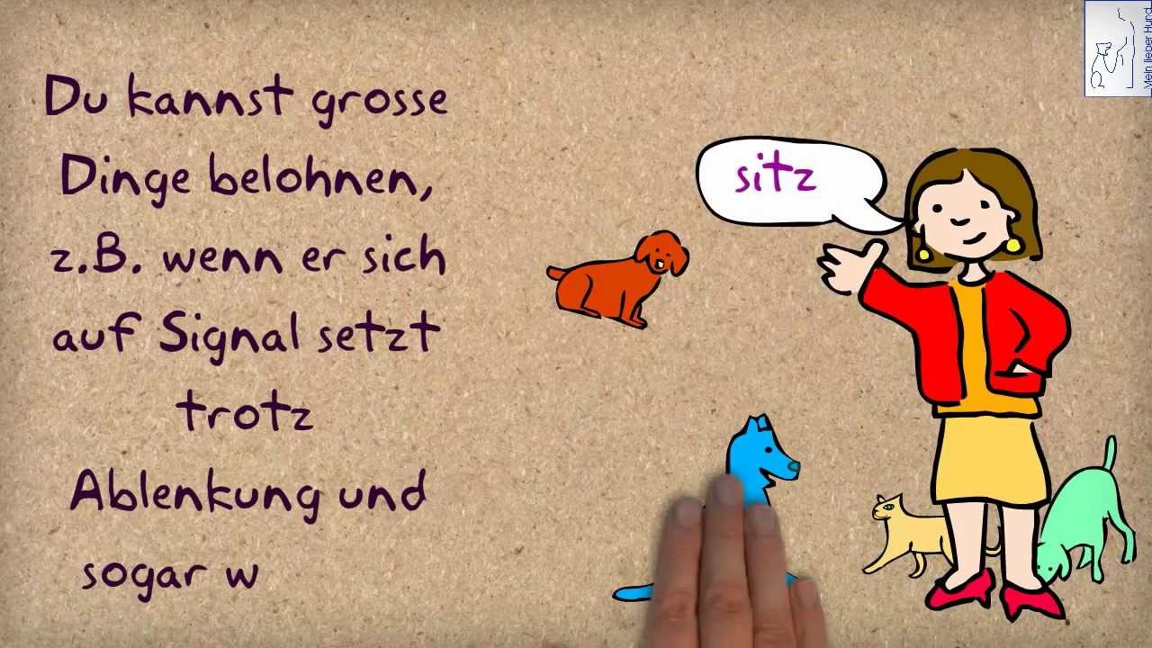 Wie funktioniert Training über positive Verstärkung