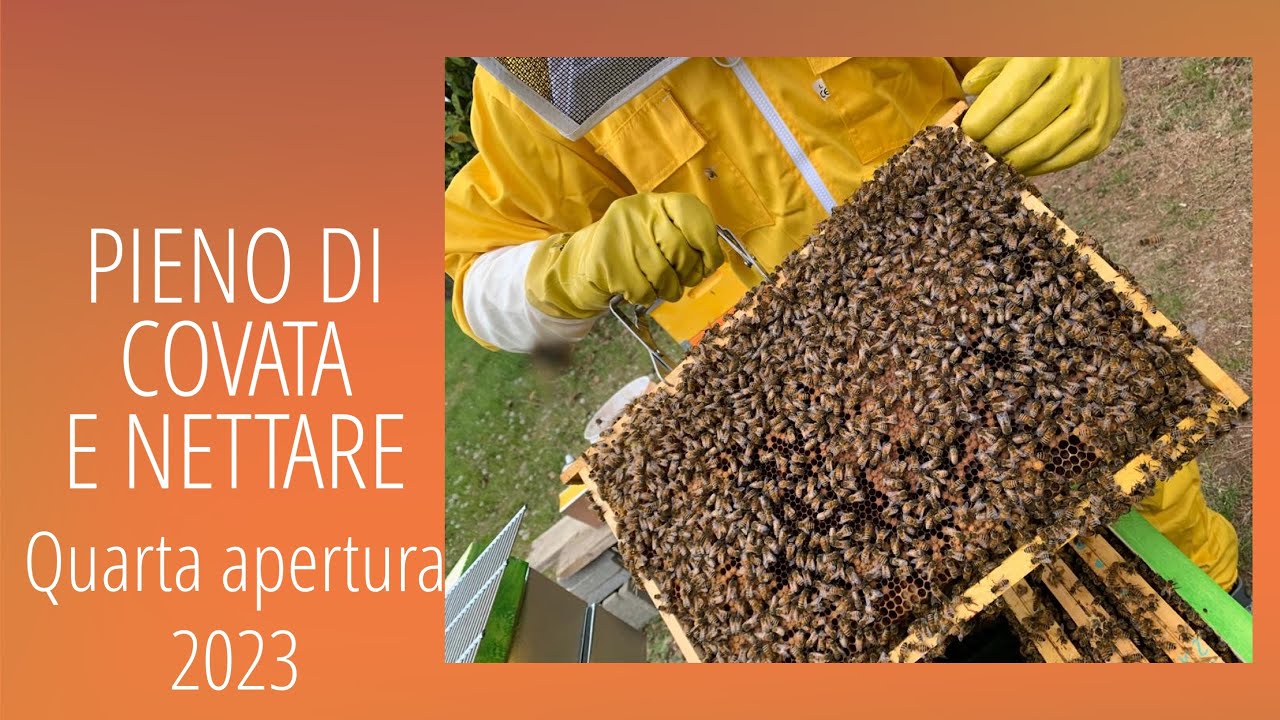 SI STANNO TRIPLICANDO