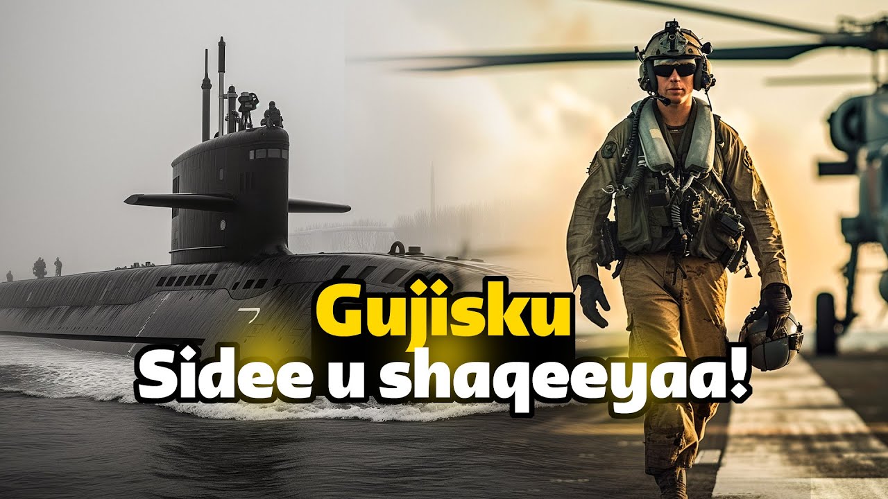 Sidee u shaqeeyaan Gujisayada badda quusa! Loolanka gunta hoose ee badda ku dhex maraya dalalka