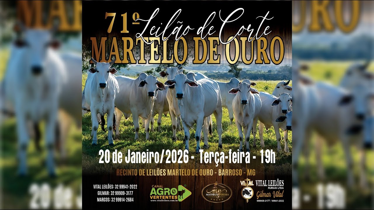 71º LEILÃO MISTO MARTELO DE OURO - 20/01/2026