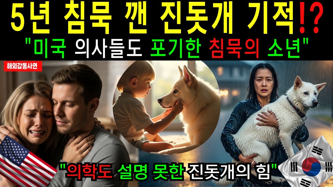 [해외감동사연] 미국 의사들도 포기한 침묵의 소년, 한국 진돗개가 5년 만에 말문을 연 충격적인 감동 스토리