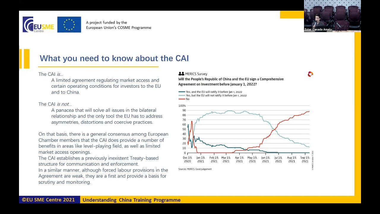 The Future of EU-China Economic Relations | Understanding China 2021