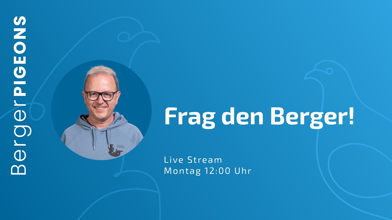 Frag den Berger live 📱 – Folge 17 vom 19.01.2026 Handyversion