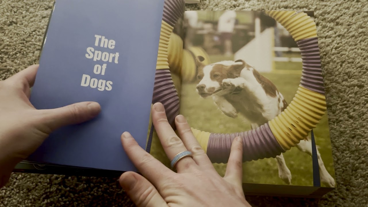 ASMR flip through AKC The Complete Dog Book American Kennel Club 🐶 🐩 🐕
