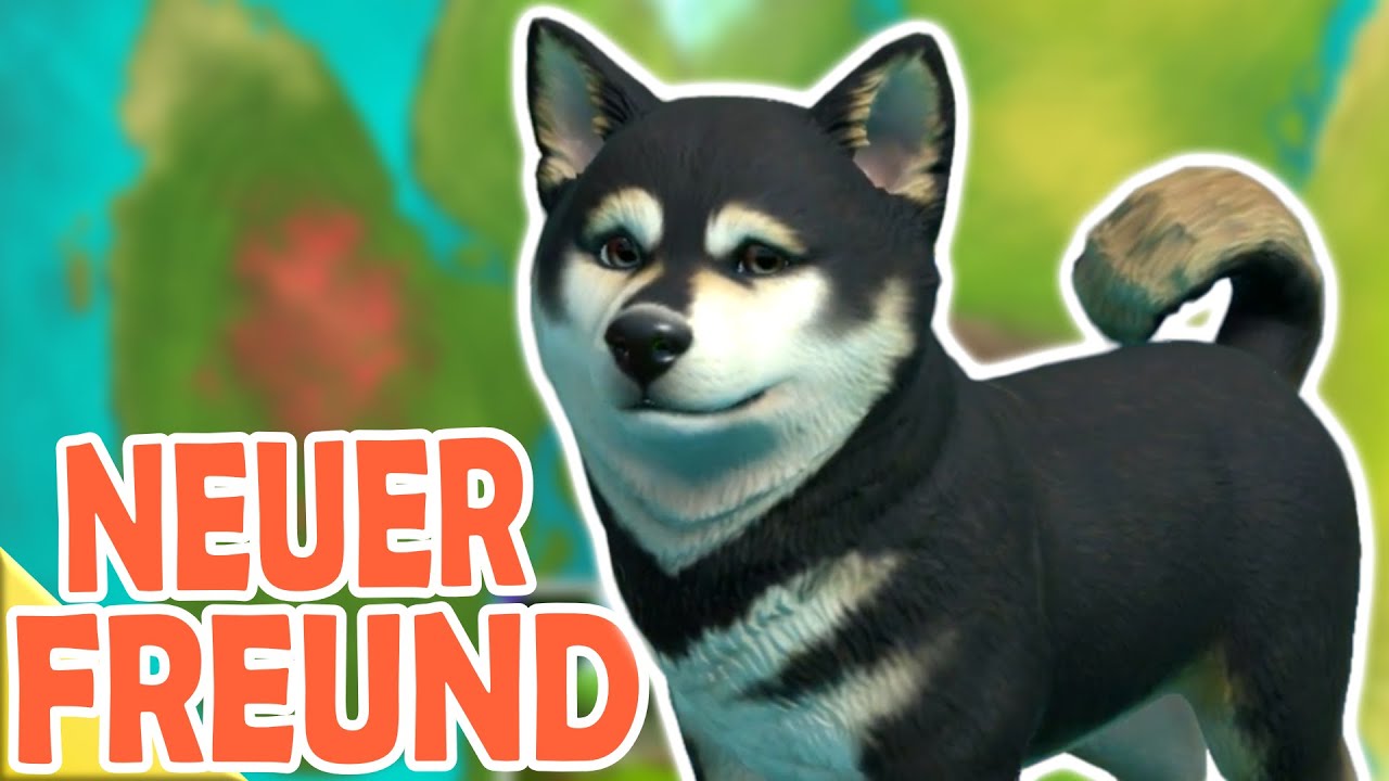 Inselerkundung 🐕 Little Friends Puppy Island | 02