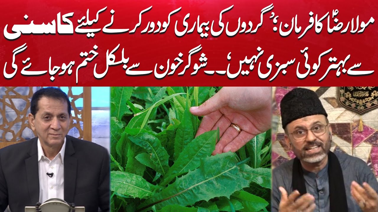 'KASNI' is the best Medicine for Kidney Diseases | Prophetic Medicine Specialist Exclusive Talk