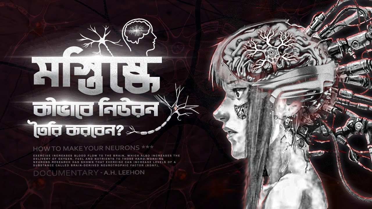 মস্তিষ্কে নতুন নিউরন তৈরি করার পদ্ধতি❗How to Grow New Neurons❓