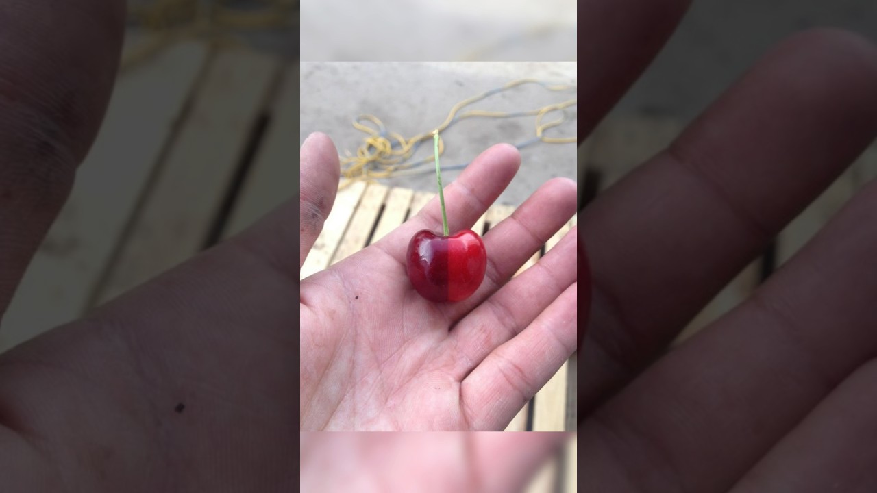 Perfect satisfying photos&hellip;🥹 #satisfying