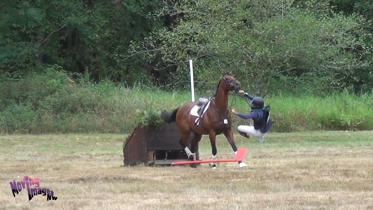 It's Not Over Yet - Horse Mishaps & Bloopers 2021