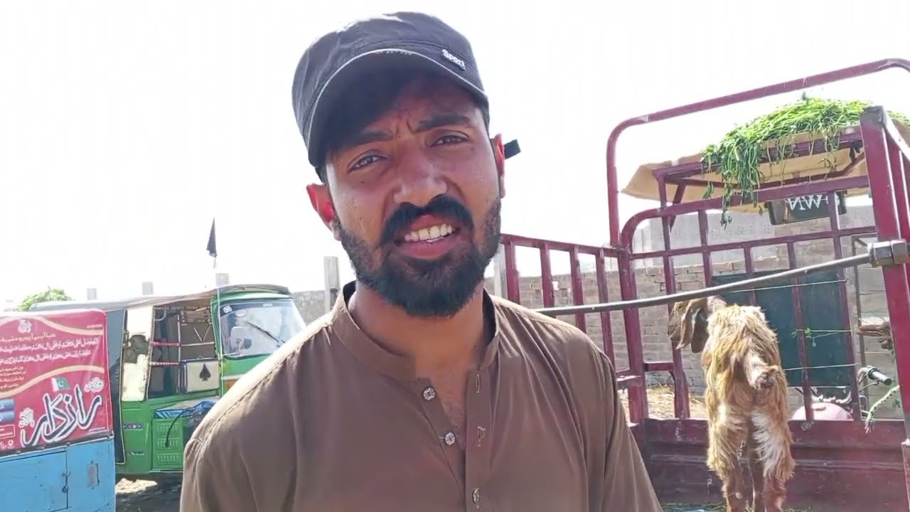 ملتان بکرا منڈی 2026 کی قربانی کے جانوروں کی اپڈیٹ 