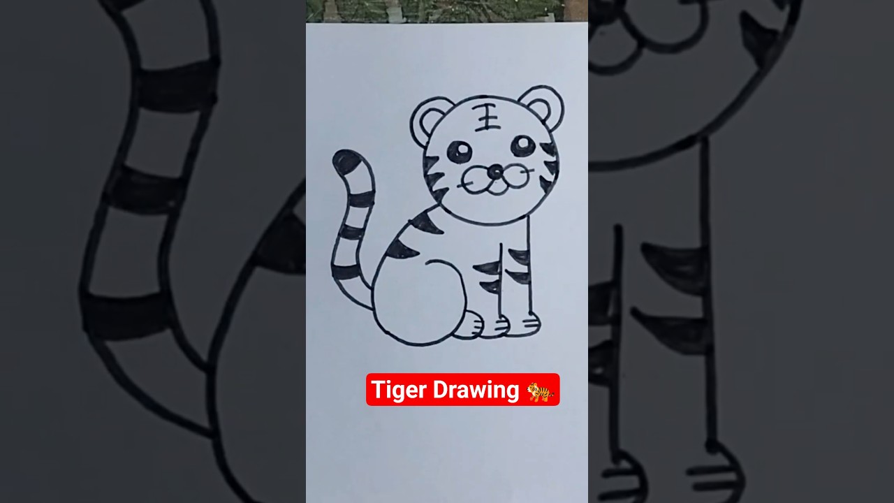 How To Draw Little Tiger 🐅  