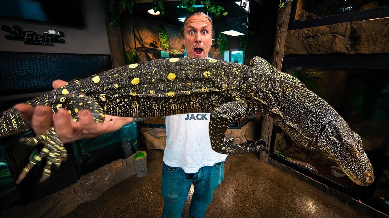 GETTING A CROCODILE MONITOR LIZARD FOR MY REPTILE ZOO!! EMOTIONAL!!  | BRIAN BARCZYK
