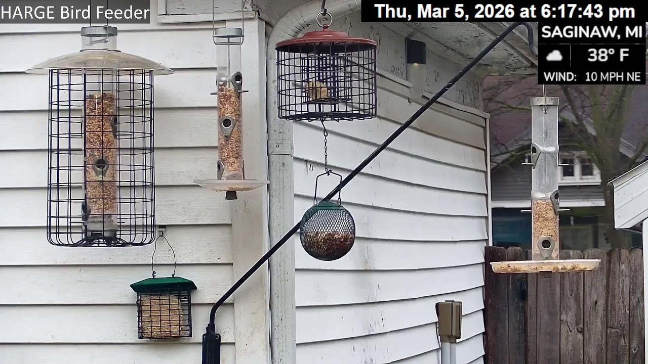 HARGE Bird Feeder