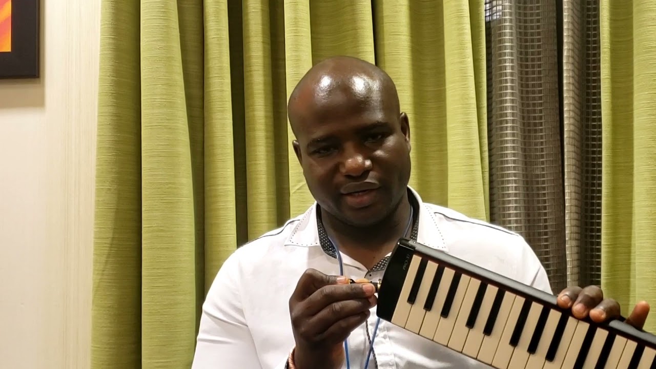 Introduction to Melodica :  History ,  sound , effects and importance to blues and jazz music