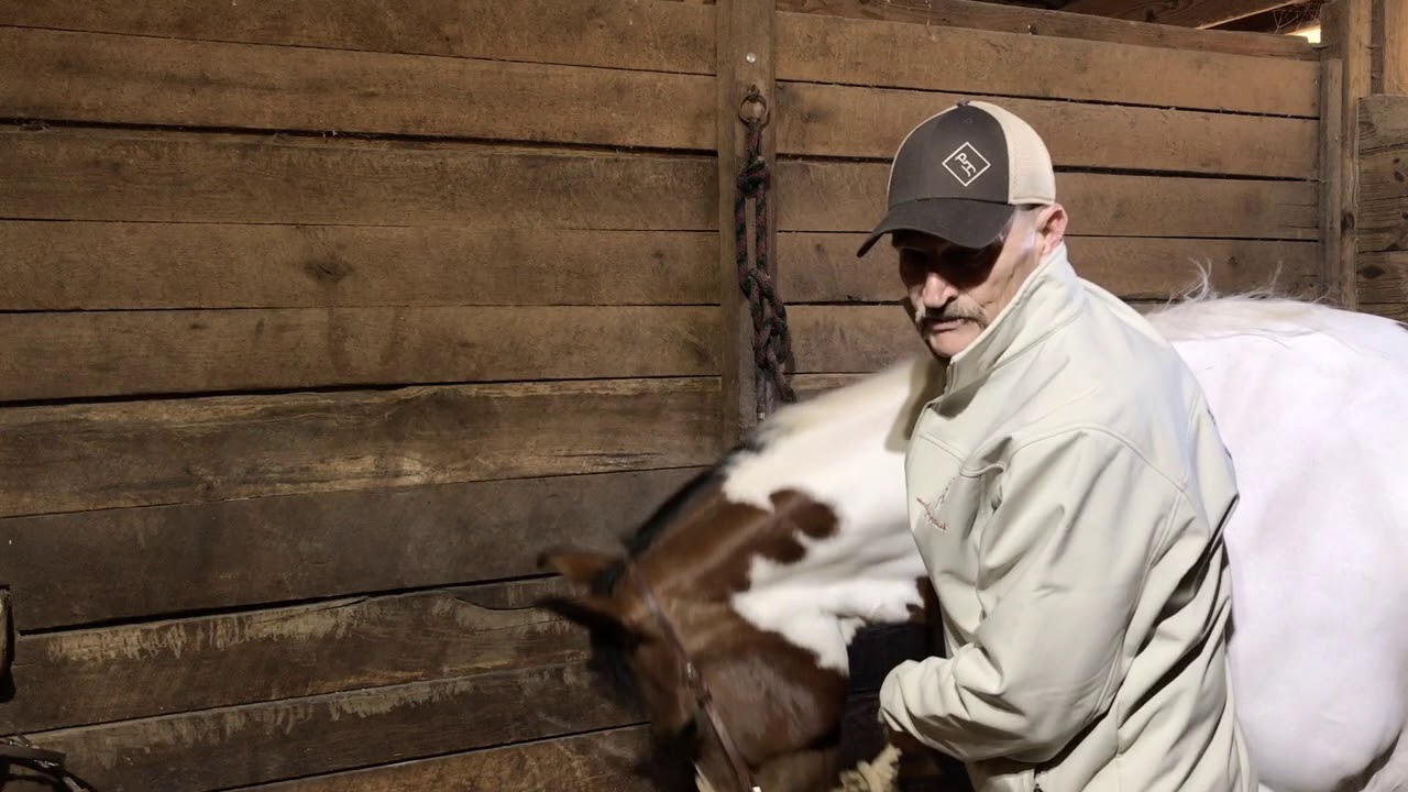 Bit and Hackmore Introduction