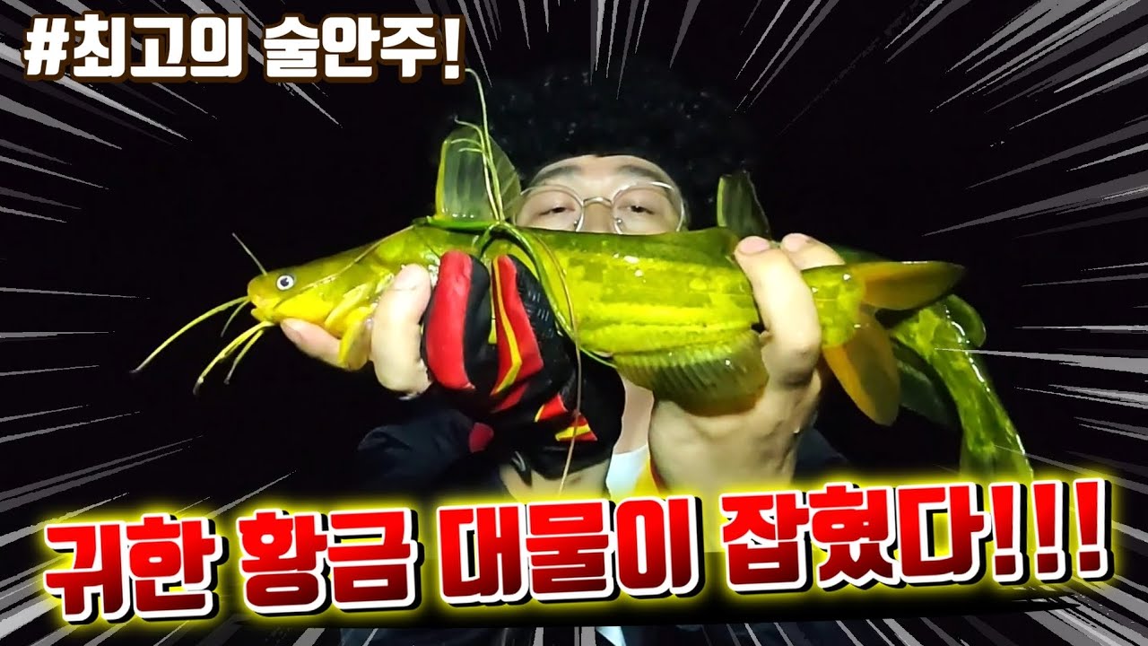 던지면 대물이 쏟아진다!! 민물 매운탕 1등 고기를 직접잡아서 먹어보자