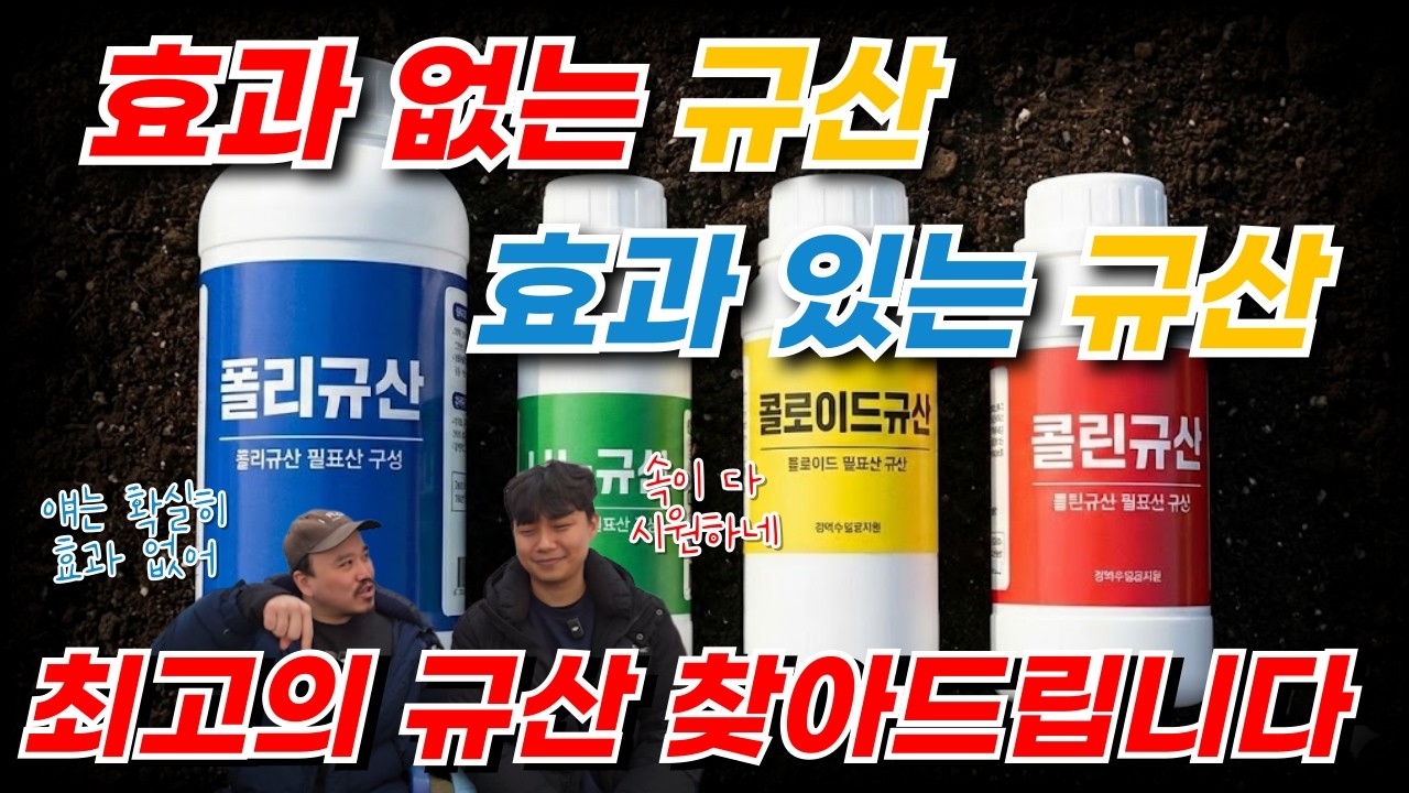 아무 규산이나 쓰지 마세요! 밭작물에 효과 없는 규산, 효과 대박인 규산 딱 정해드립니다 | 비료 전문가가 알려주는 규산비료 2편