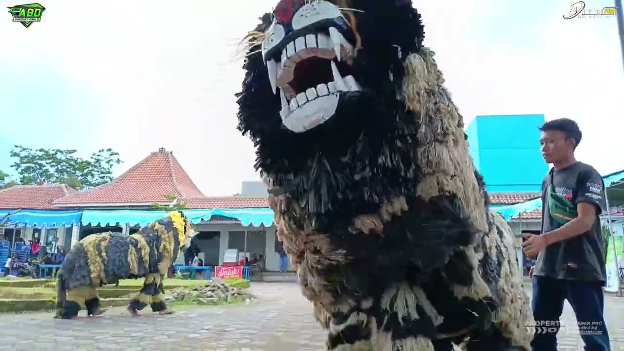 Bantengan ndigar bareng PUTRA SEKAR ARUM Galang dana the real bolodewe loandeng kalisongo malang 