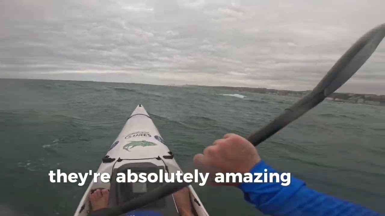 The updated Vortex Fishing Kayak is now available and ready