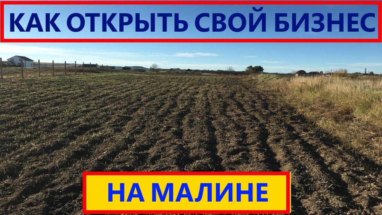 Бизнес с нуля. Что нужно знать новичку? КАК ОТКРЫТЬ СВОЙ БИЗНЕС НА МАЛИНЕ бизнес с нуля