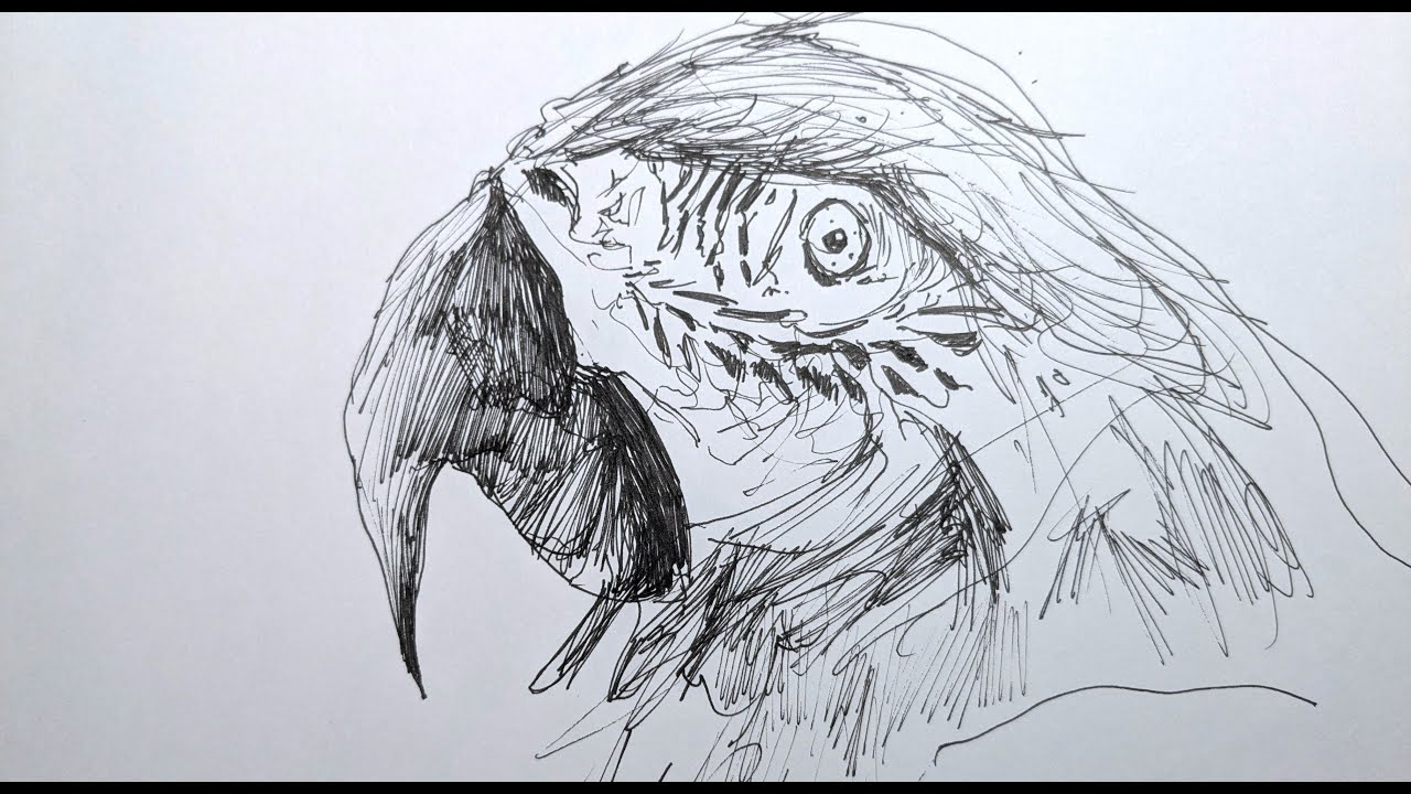 5 Reasons Imperfection Makes Your Drawings Better