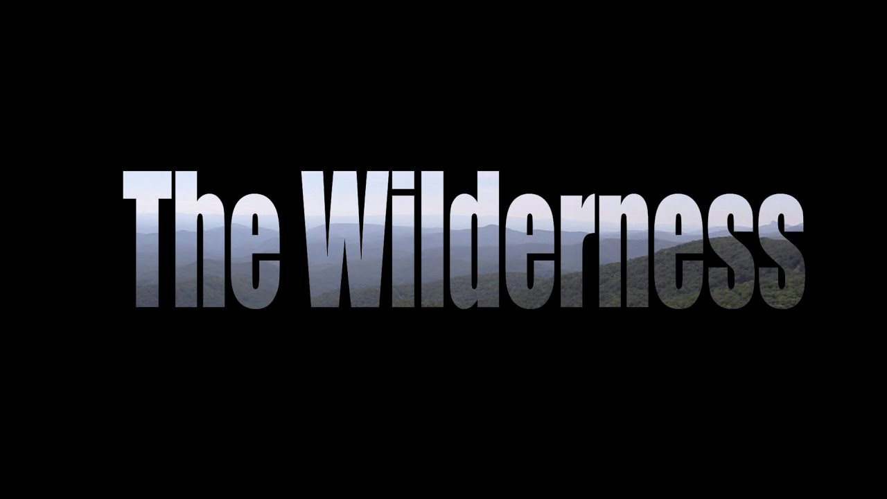 The Wilderness : Overnight Adventure