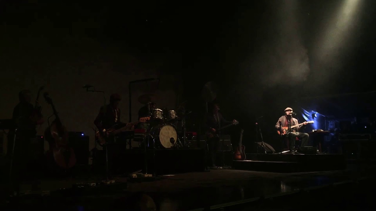 Kim Larsen & Kjukken - This Is My Life (Live)
