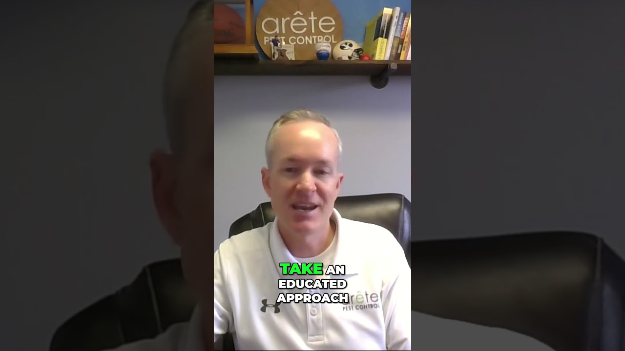 Ultimate Guide to Ant Control | Arete Pest Control