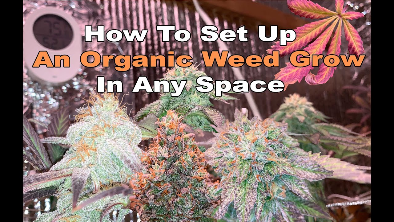 How To Set Up Your Custom Weed Grow To Fit Any Space