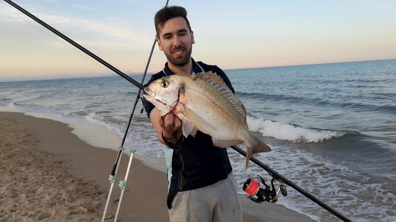Surfcasting en Guardamar 2019