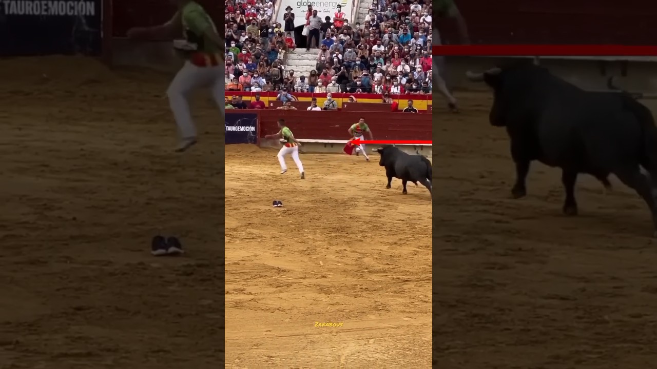 Bull 🐂 Fighting Is Very Dangerous Or Hilarious, History Of Spain