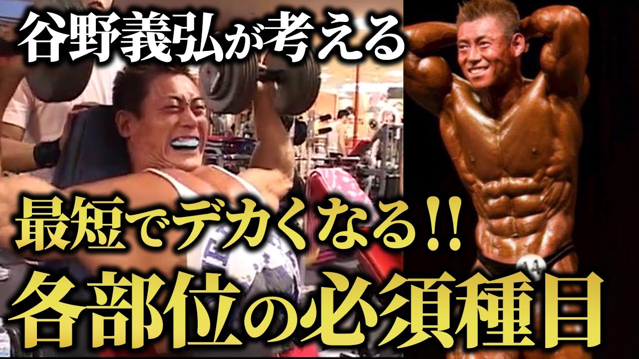 【筋トレの基礎】元日本王者、谷野義弘が考える！最短でデカくなる各部位の必須種種目！