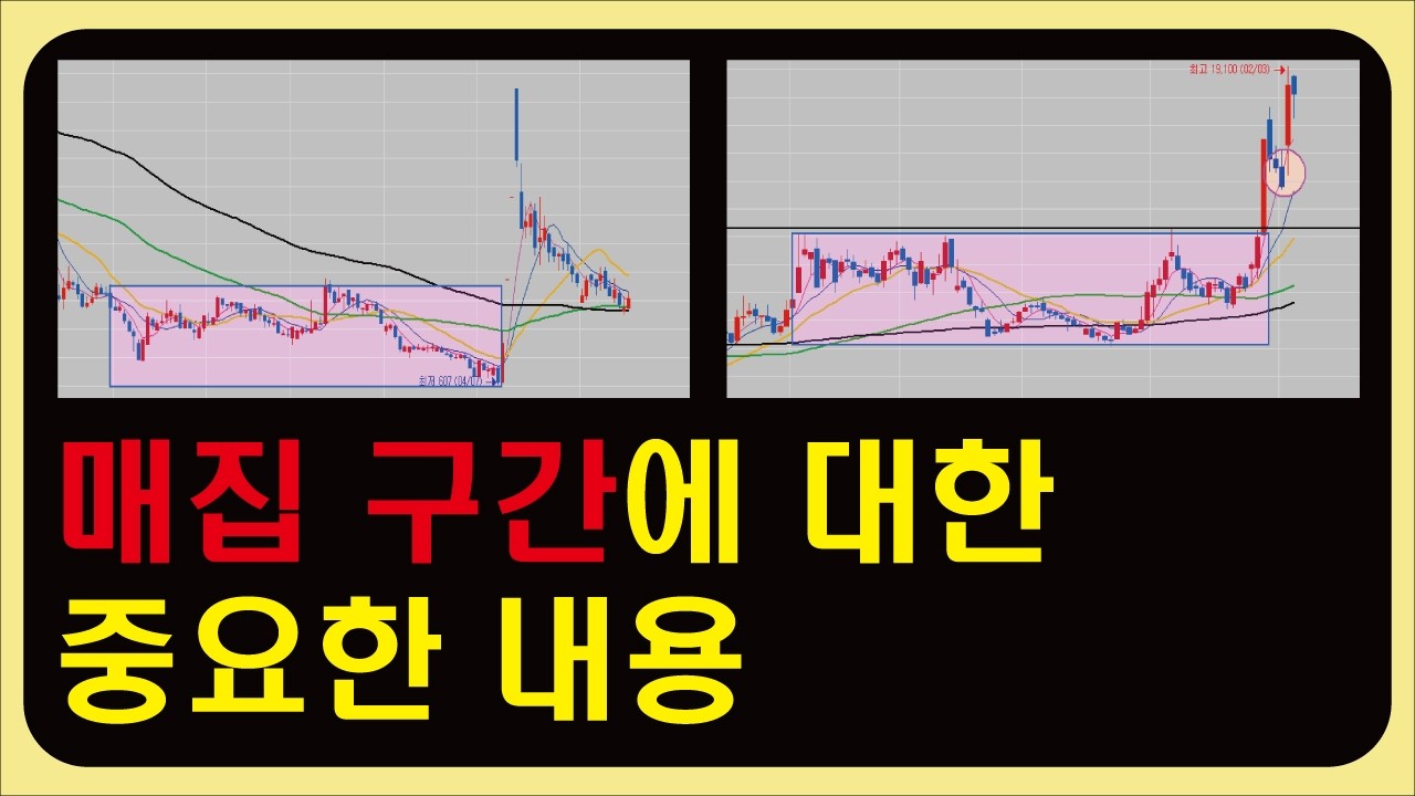 매집에 대해 고민이 있다면 이 부분을 확인하세요