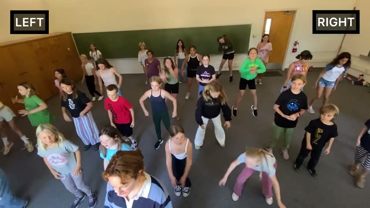 Dream • Try Everything Choreo • Mirror