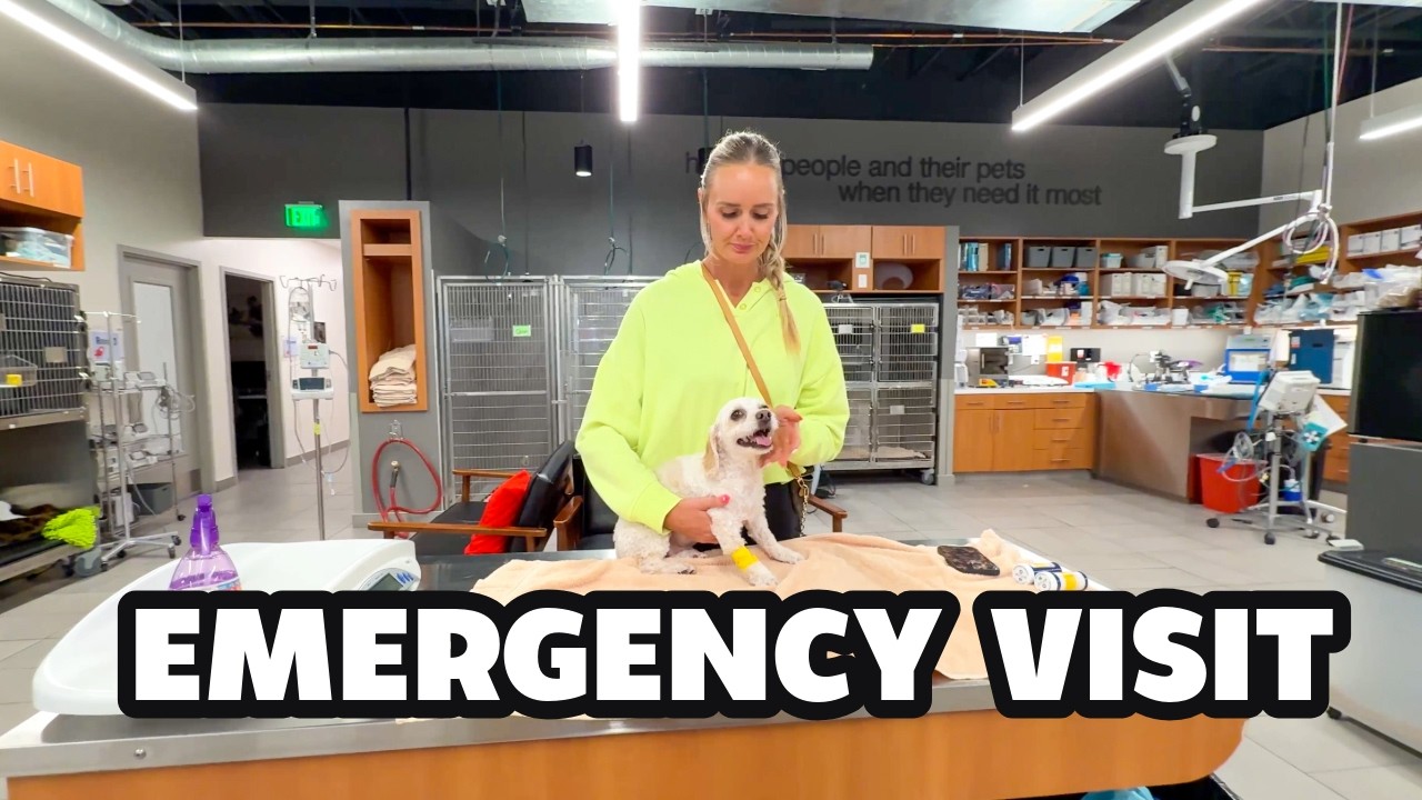 💔 Emergency Vet Visit for Our Dog! This Wasn’t the Update We Hoped For! A Scary Night at the ER Vet