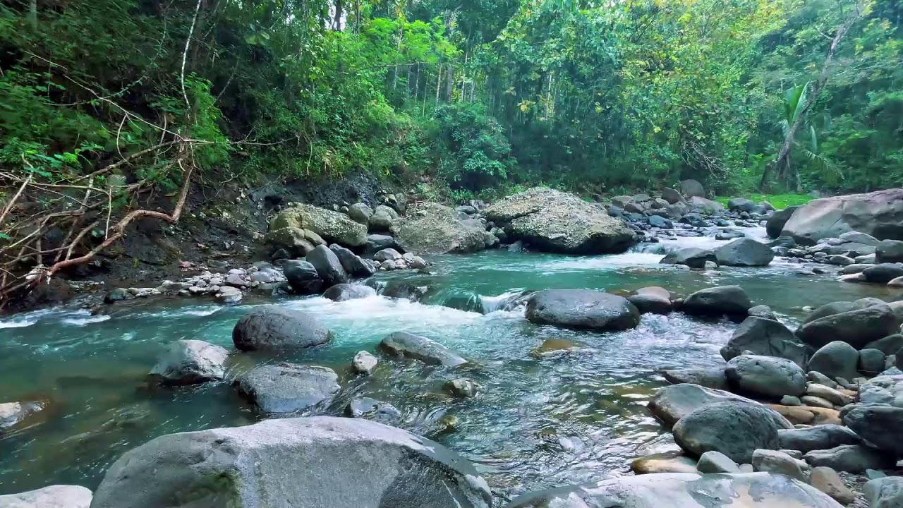 Gentle River Sounds for Sleeping, River Sounds for relaxation, Water Sounds for stress relief