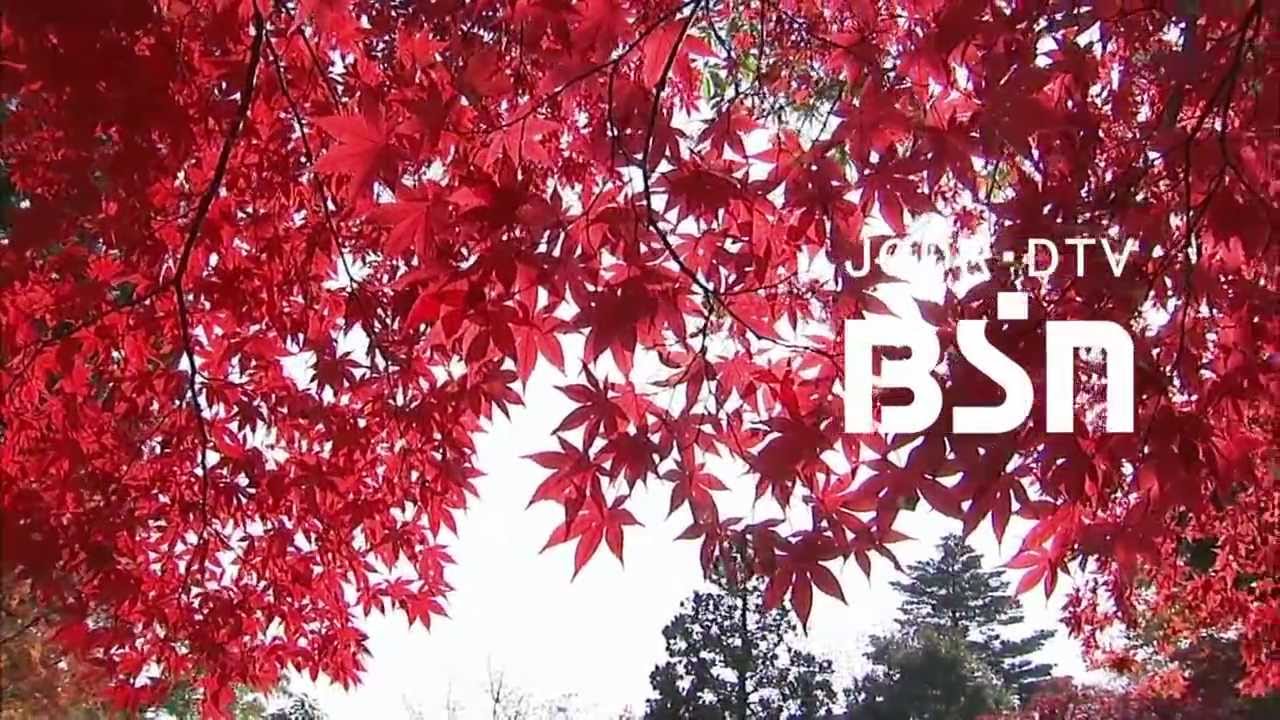 [1080p] BSN 新潟放送 オープニング [現行]