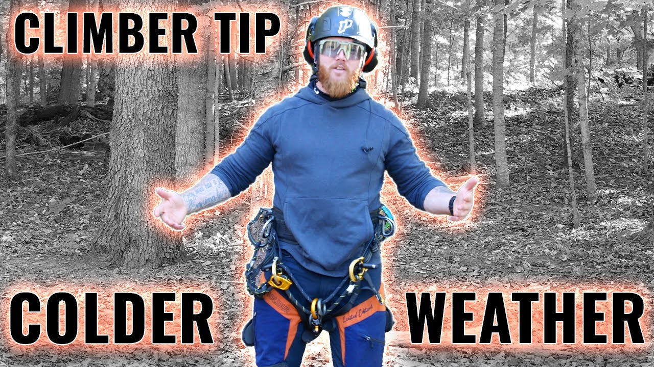 Quick Tree Climbing Tip: Harness