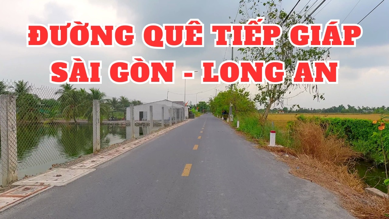Láng Le Bàu Cò về tới cầu Chợ Đệm Tân Túc Bình Chánh