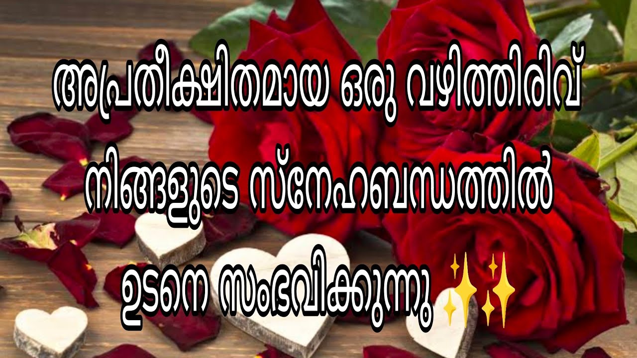 അപ്രതീക്ഷിതമായ ഒരു വഴിത്തിരിവ് നിങ്ങളുടെ സ്നേഹബന്ധത്തിൽ ഉടനെ സംഭവിക്കുന്നു ✨✨