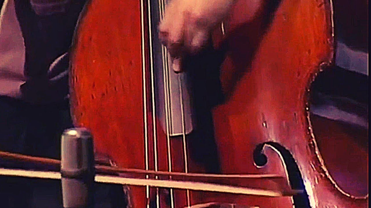 Hertl: Andantino | Sonata for Double Bass and Piano | Duncan McTier and Rebecca Woolcock