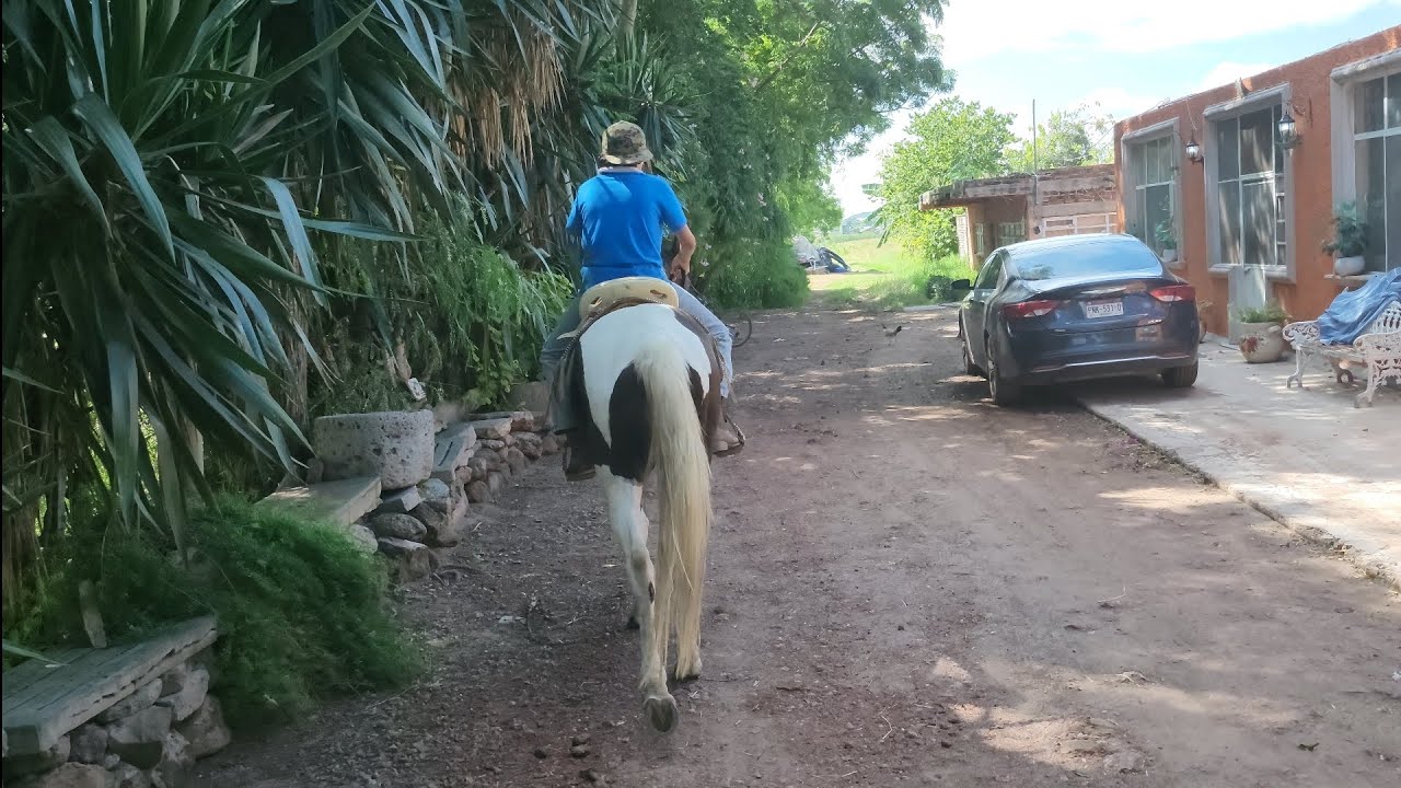 Un Día en el Rancho ET | Vlog 1| Trabajando las Yeguas |