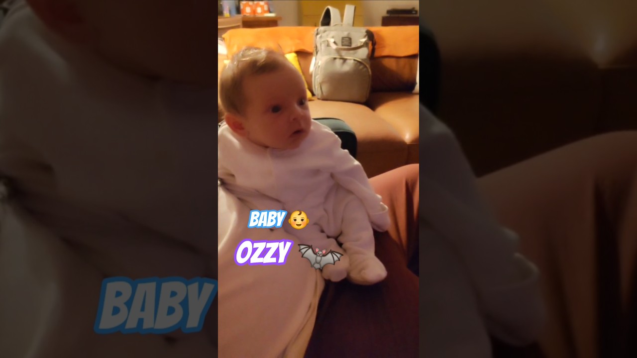 Baby 👶 Ozzy 🦇. Watching 