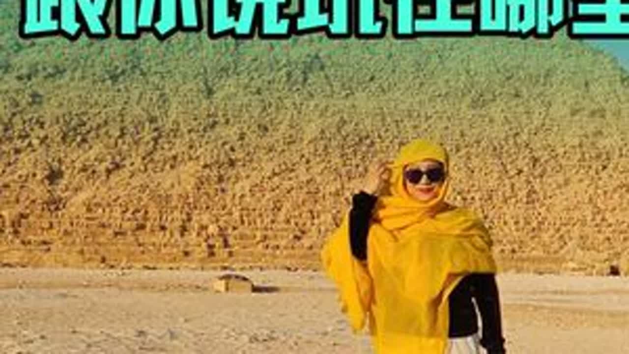 今天不吵架，就跟你说黑车的坑在哪里。白天被移民局领导交了钱，省下来的给他们埃及市民当小费，又是交学费的一天。#volg十亿流量扶持计划 #埃及旅游 #埃及打车 #创作者扶持计划 #真实记录