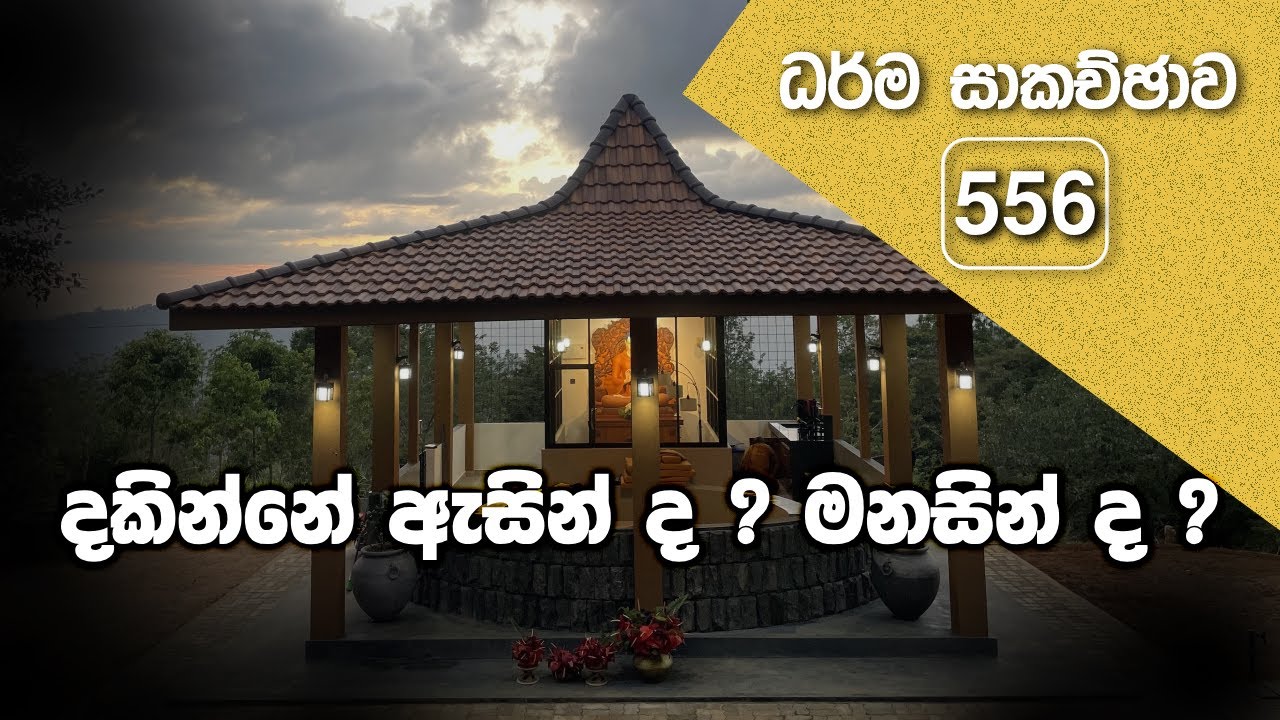 ධර්ම සාකච්ඡාව - 556 | දකින්නේ ඇසින් ද ? මනසින් ද ? (2024.02.20)
