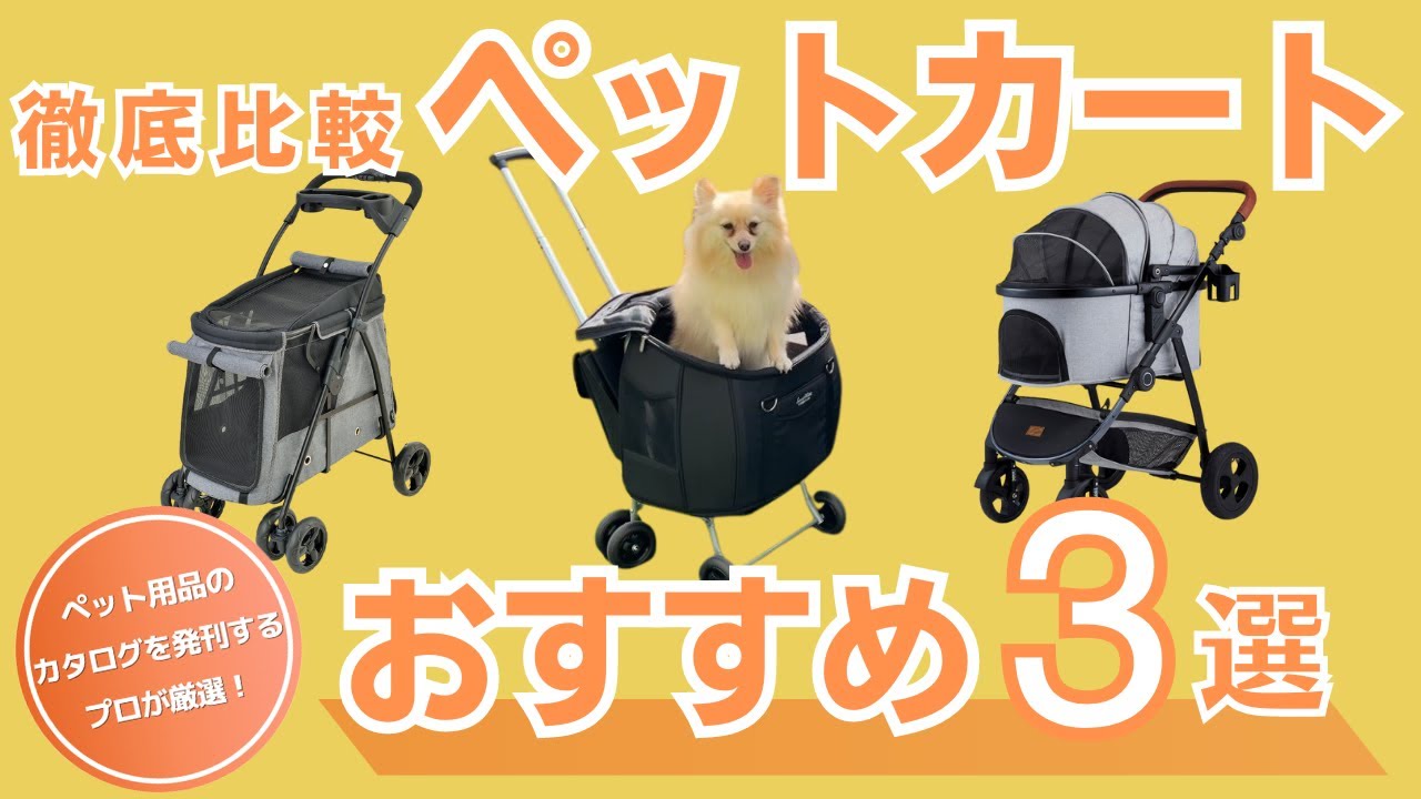 【徹底比較】お出かけにおすすめのペットカート3選