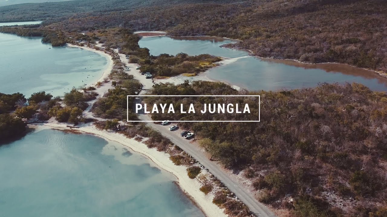 PLAYA LA JUNGLA GUANICA 🇵🇷