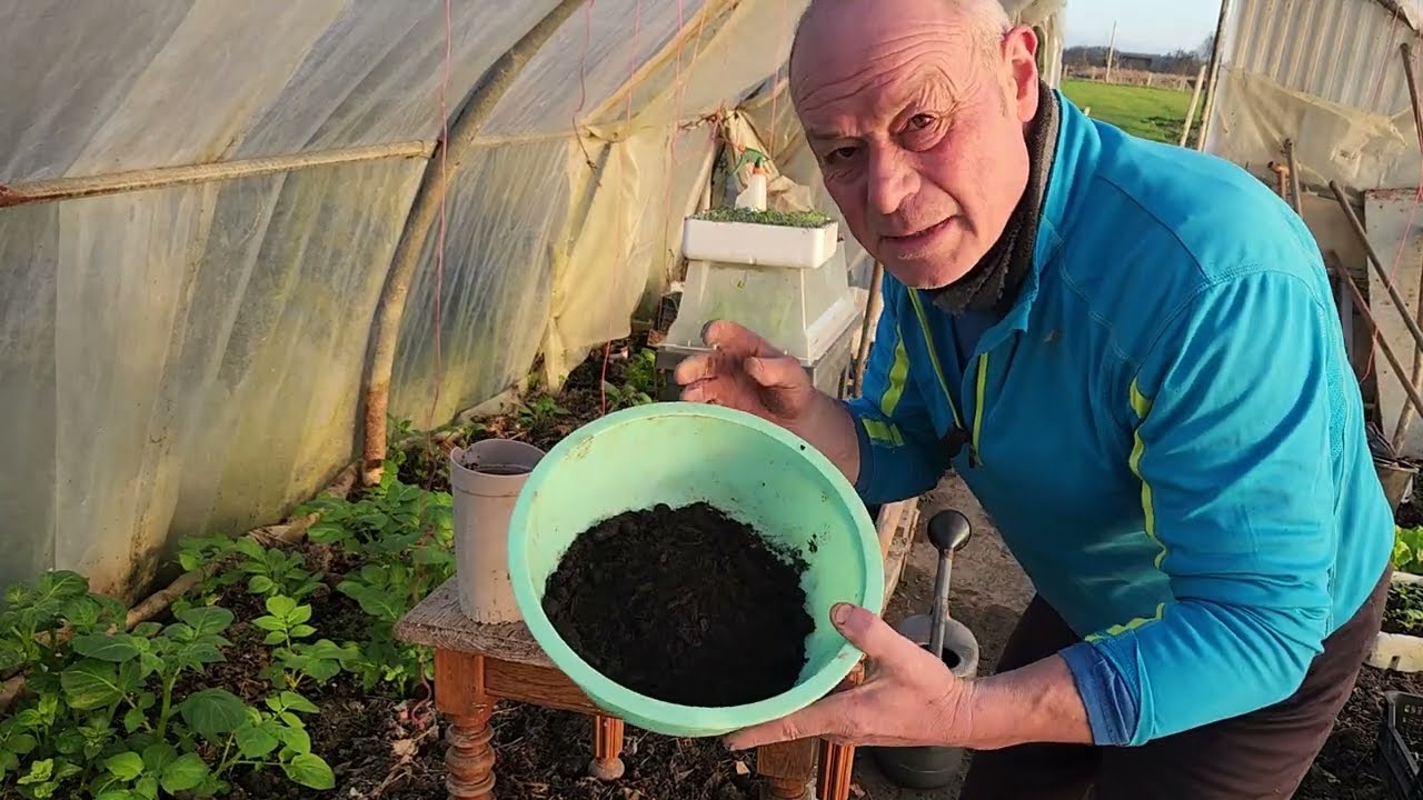Demain  on repique  nos petites  tomates 🍅  !