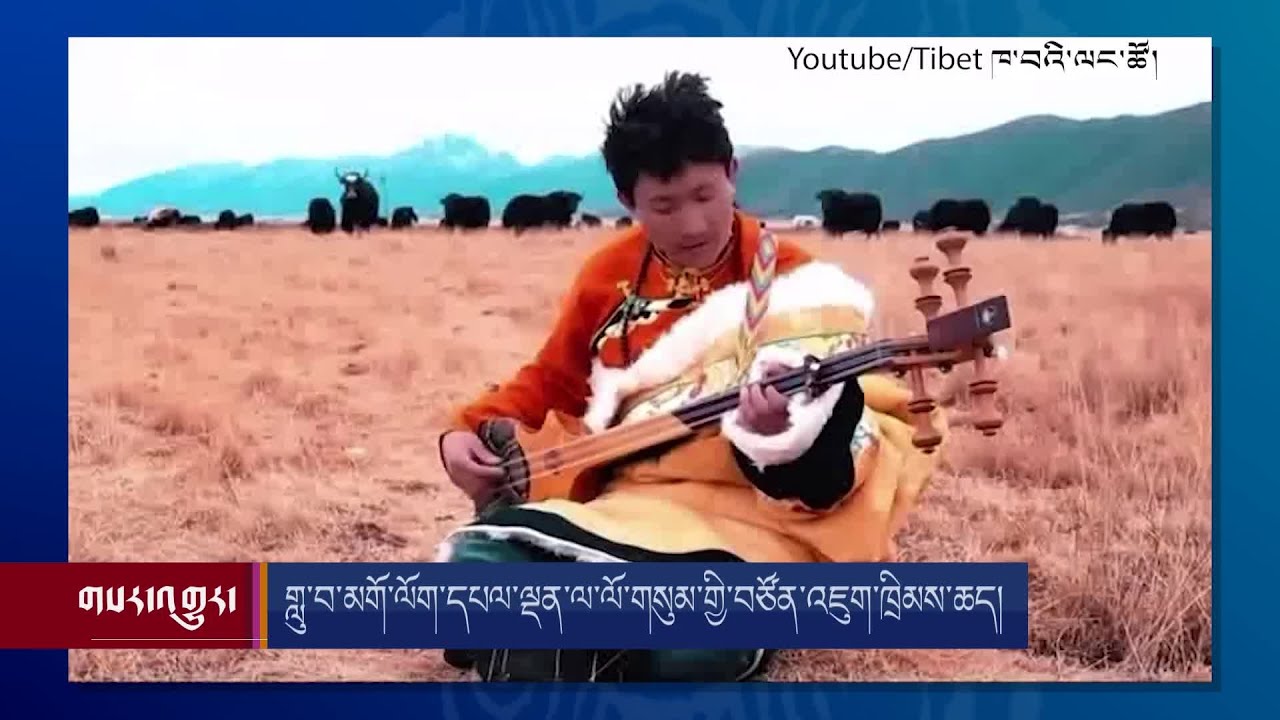 གླུ་བ་མགོ་ལོག་དཔལ་ལྡན་ལ་ལོ་གསུམ་གྱི་བཙོན་འཇུག་ཁྲིམས་ཆད།