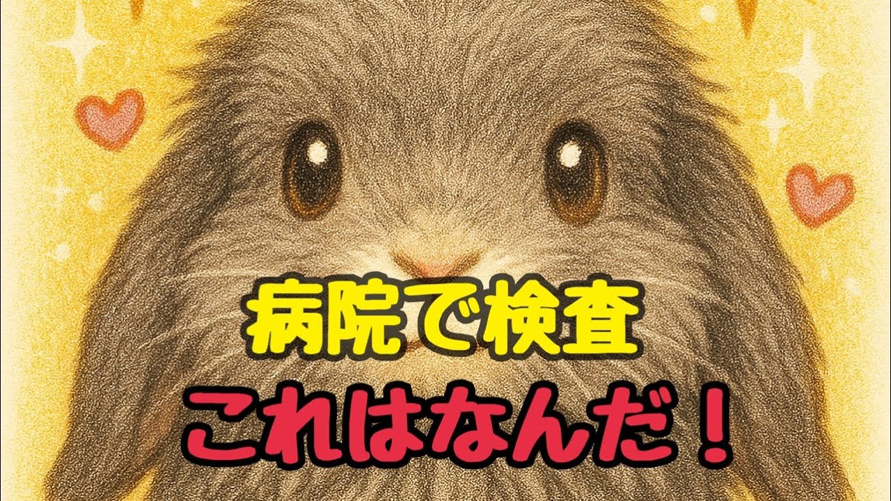 顕微鏡検査しました。これは何？